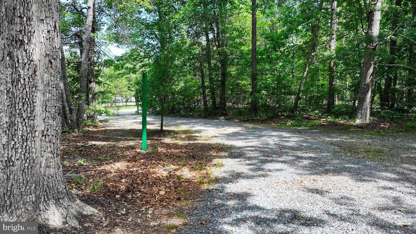 8311 Granite Springs Road photo 6