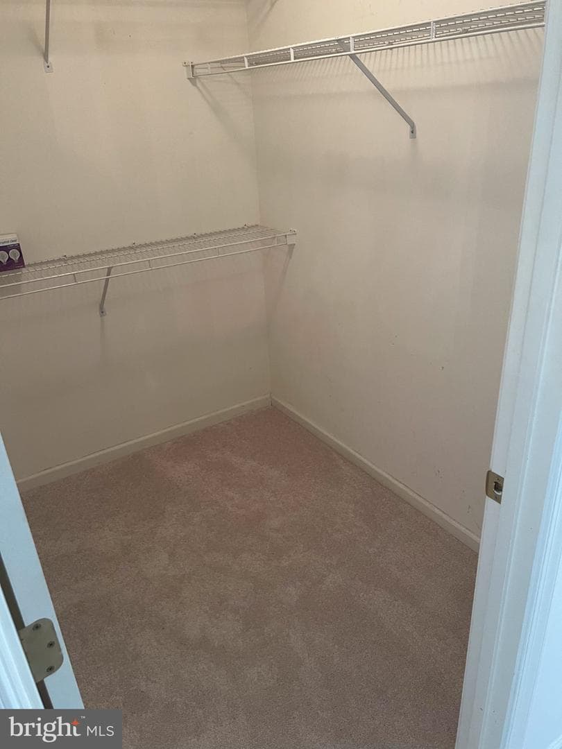 10111 Mindy Court photo 15