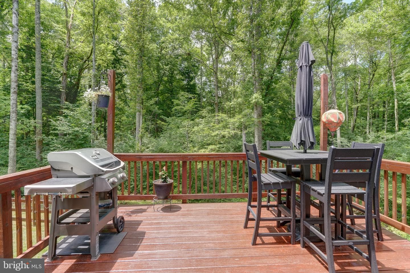 7314 Sugar Hollow Road photo 46