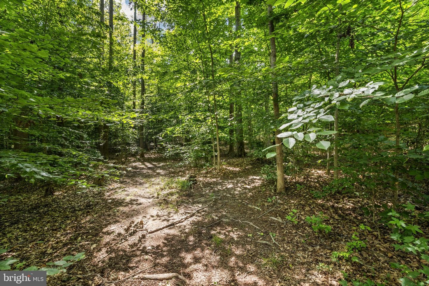 8101 Avocet Way photo 80