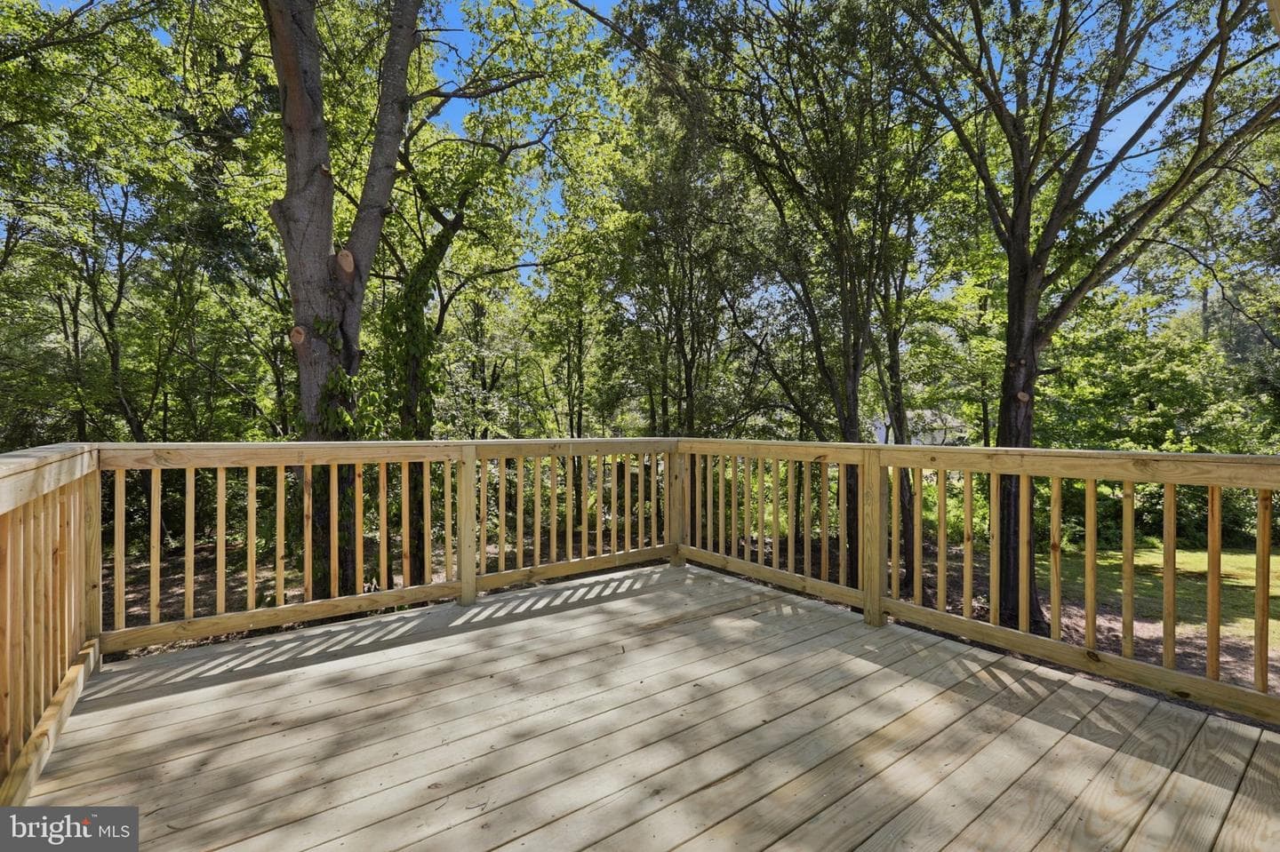10921 Peach Tree Drive photo 10
