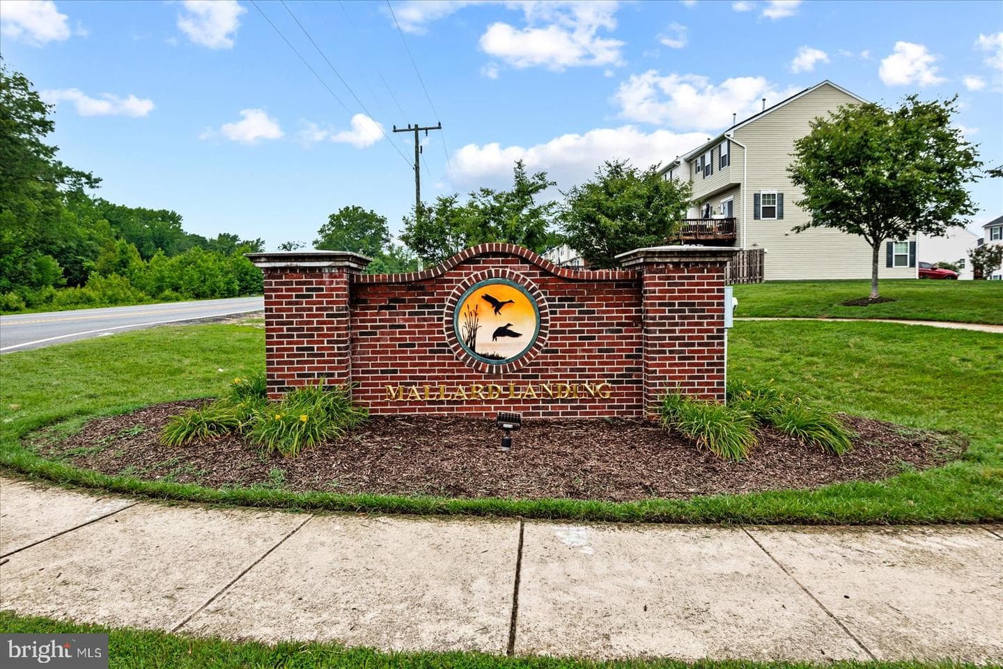 2232 Mallard Landing Drive photo 37