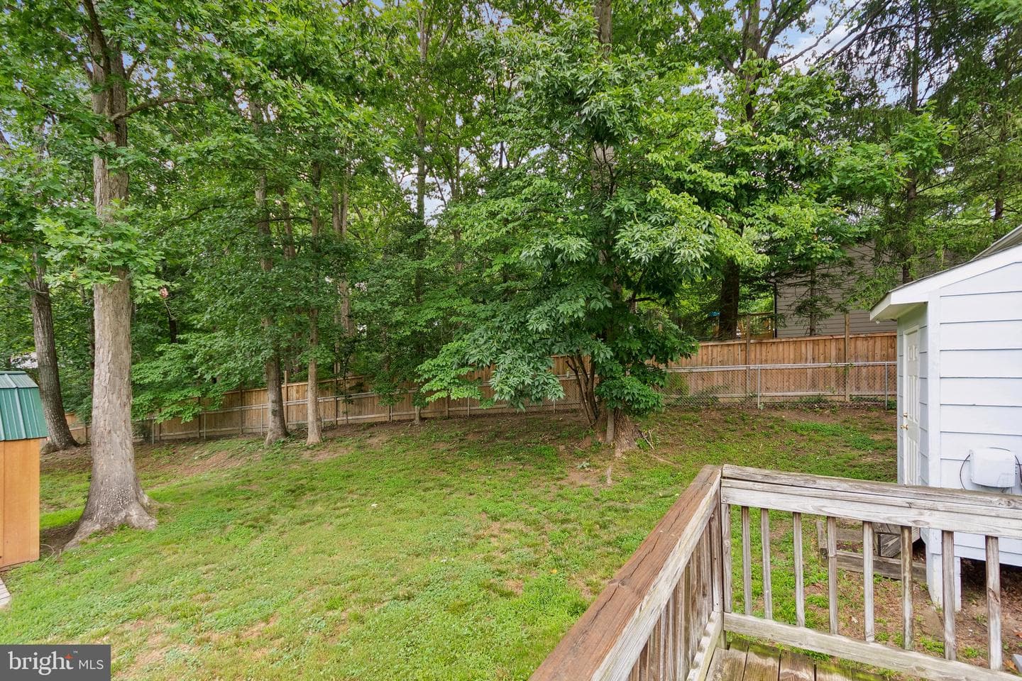 343 Albany Street photo 19