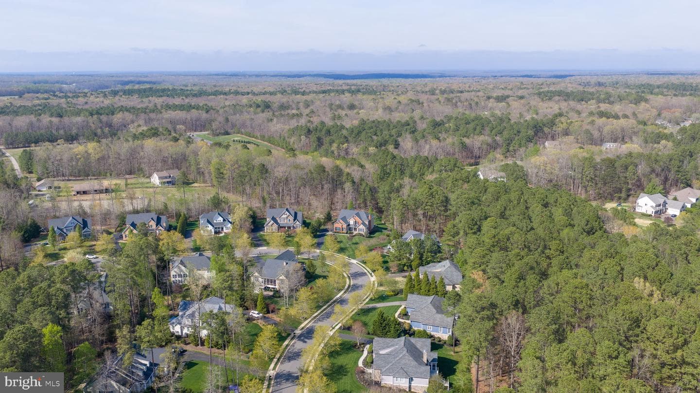 11613 Pine Hollow Lane photo 102