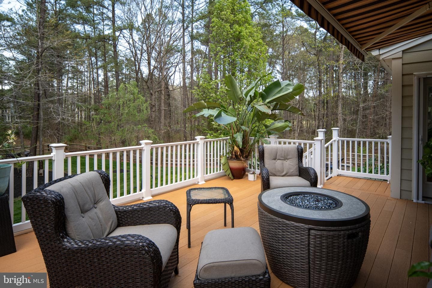 11613 Pine Hollow Lane photo 77