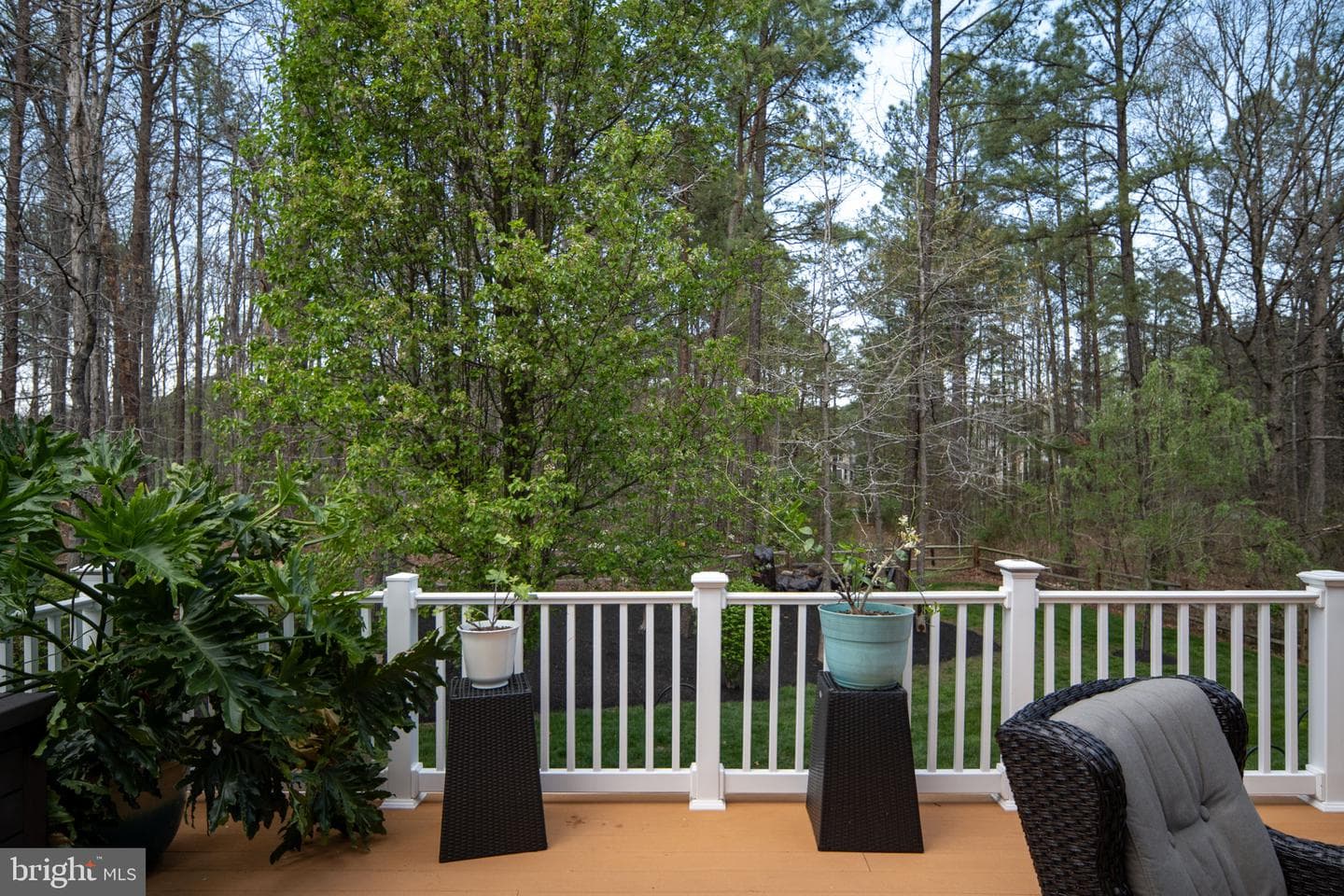 11613 Pine Hollow Lane photo 79