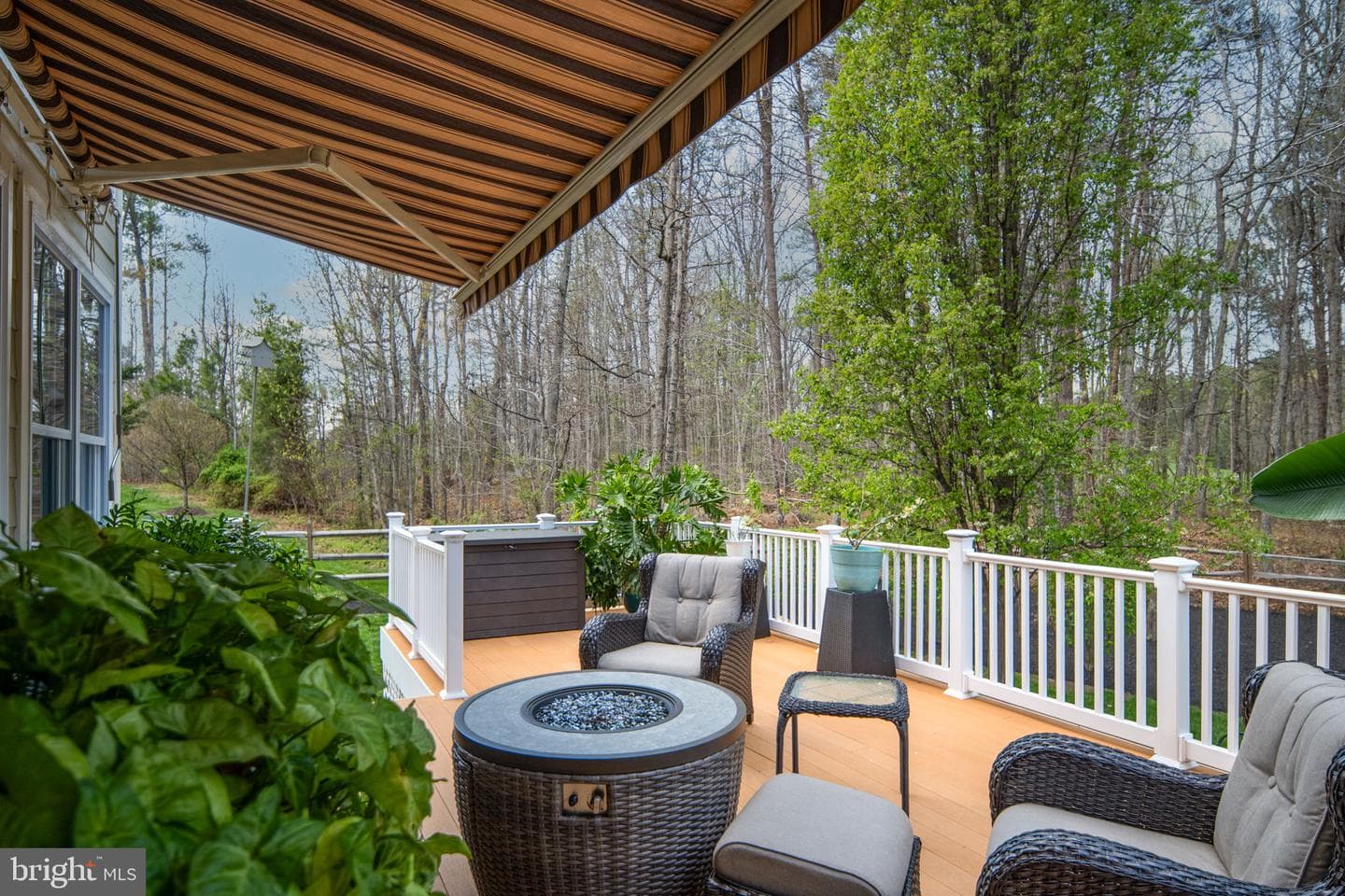 11613 Pine Hollow Lane photo 81