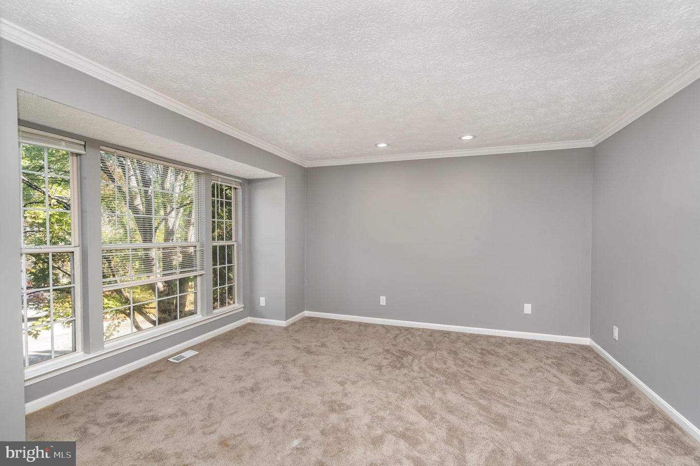 5 Saint Williams Way photo 3