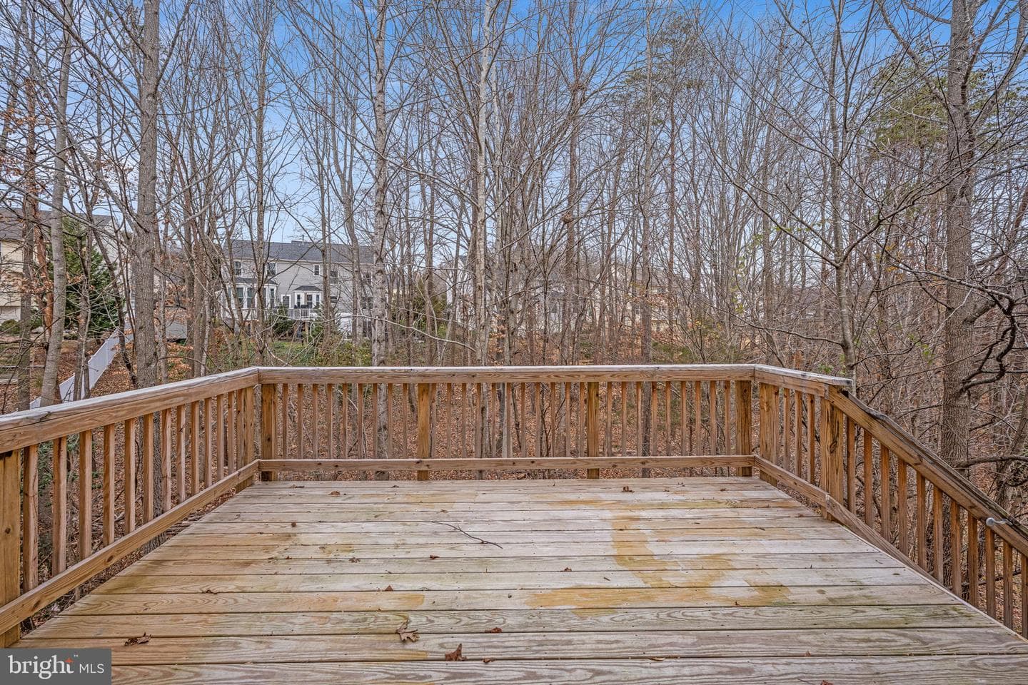 8 Newport Court photo 35