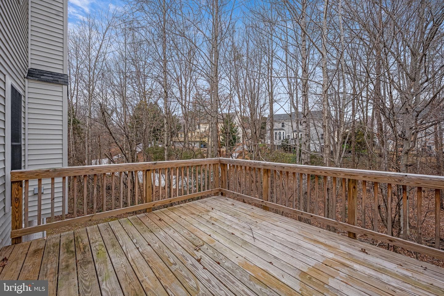 8 Newport Court photo 37