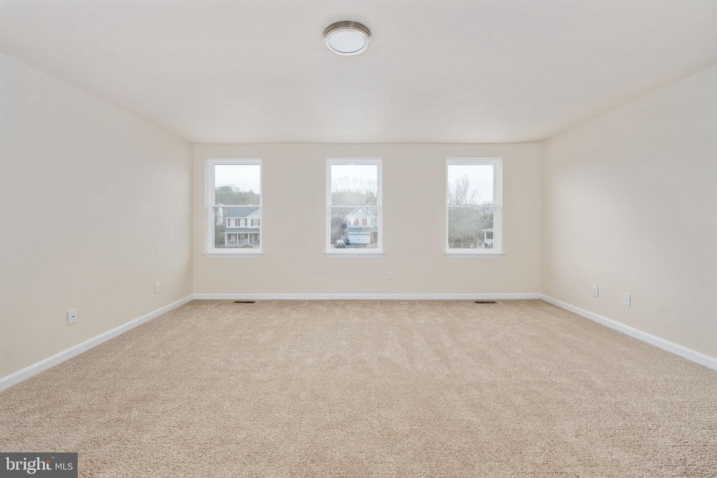 8 Newport Court photo 40