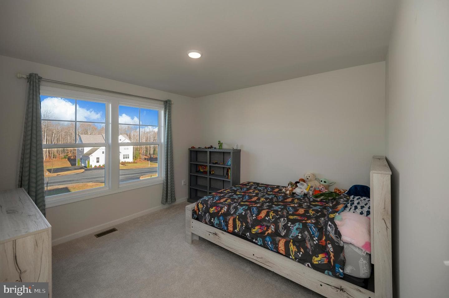 314 Liberty Hall Drive photo 32