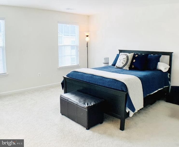 307 Streamview Drive photo 16