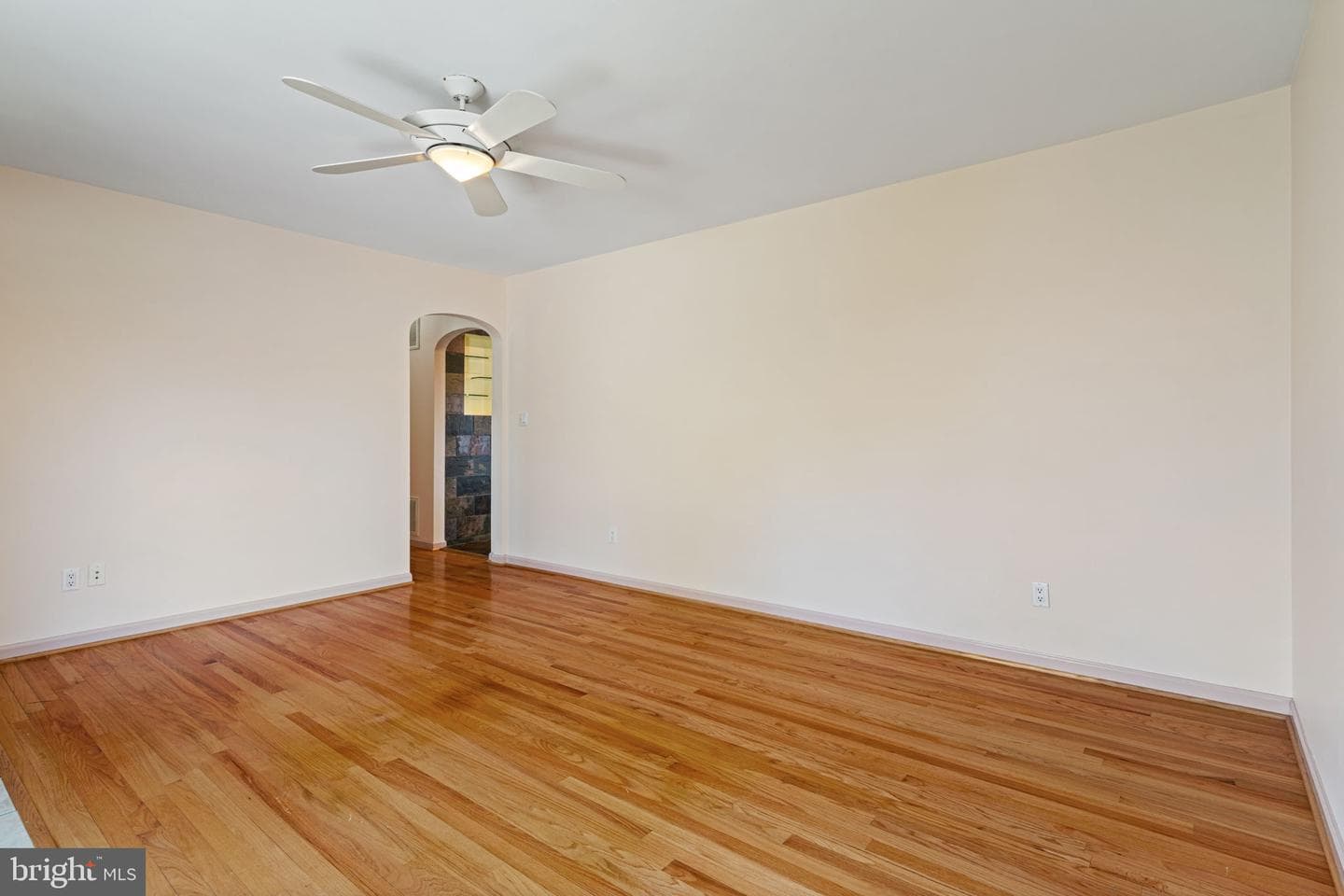 910 Carol Lane photo 8