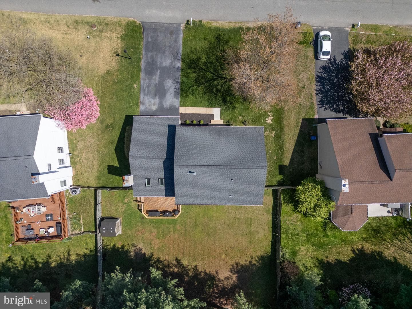 58 Blossom Wood Court photo 49