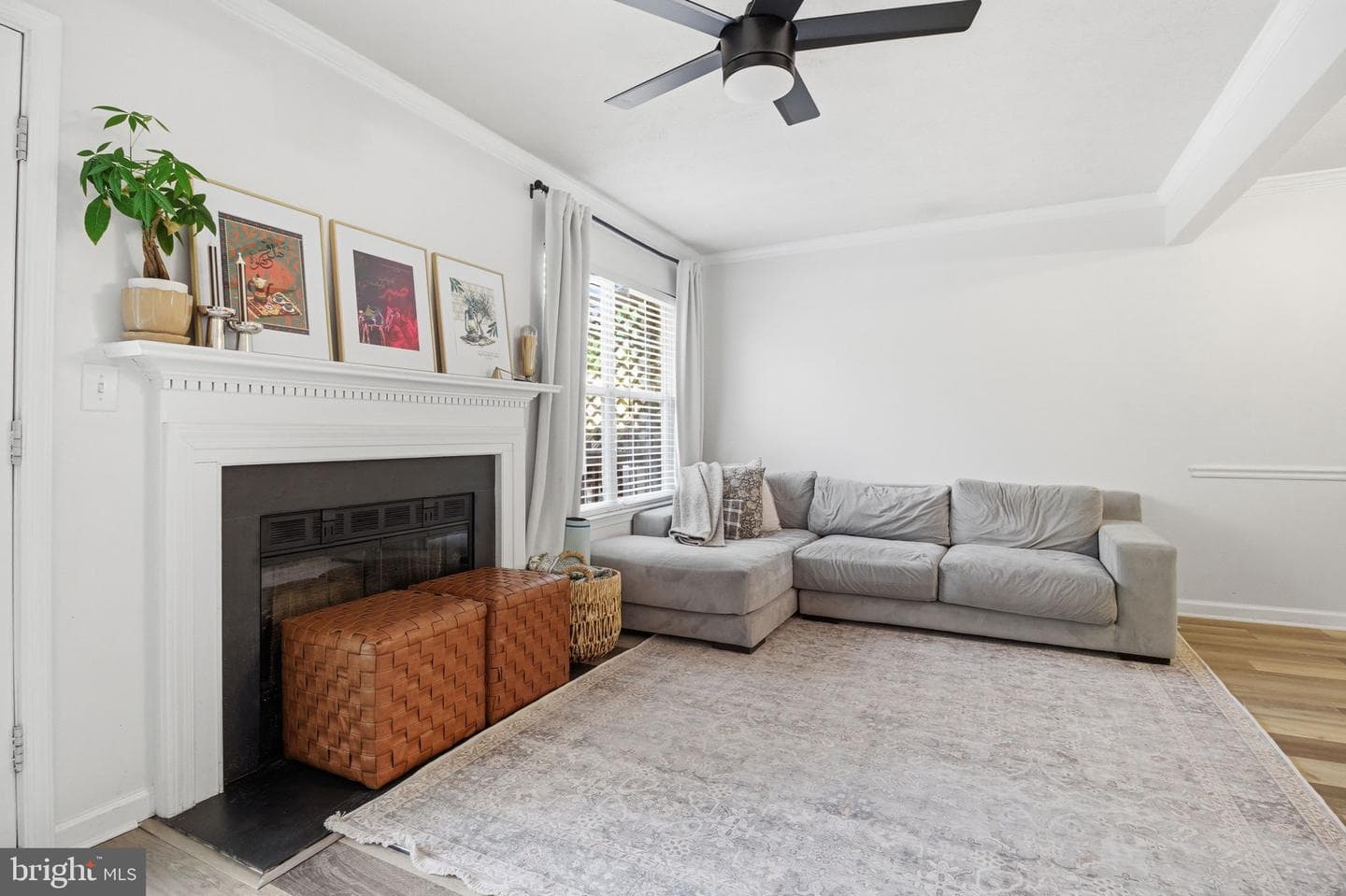 201 Mews Court photo 10