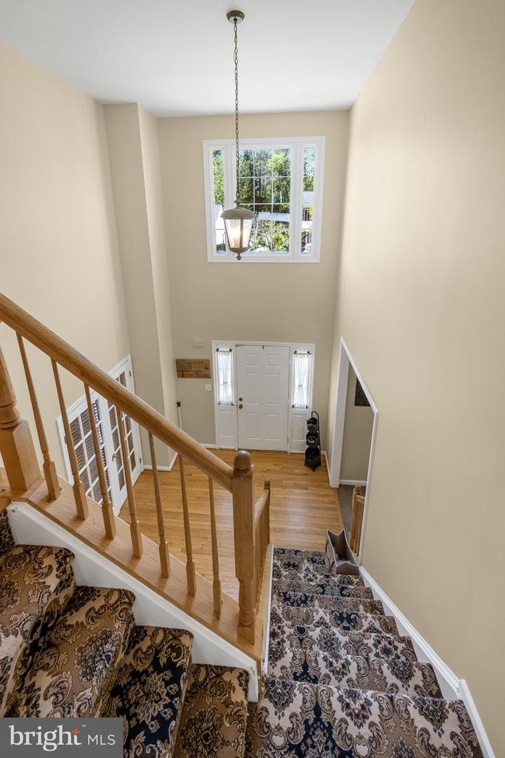 21 Northampton Boulevard photo 21