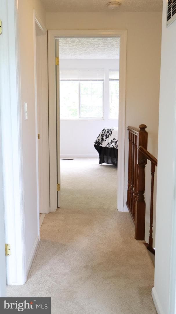 204 Barksdale Place photo 26