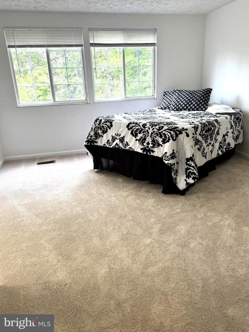 204 Barksdale Place photo 29