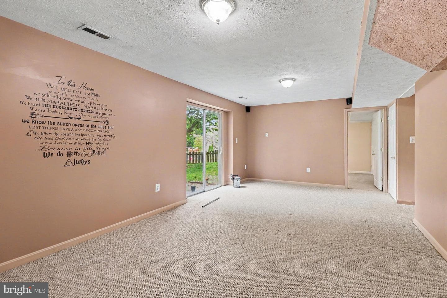 51 Basalt Drive photo 22