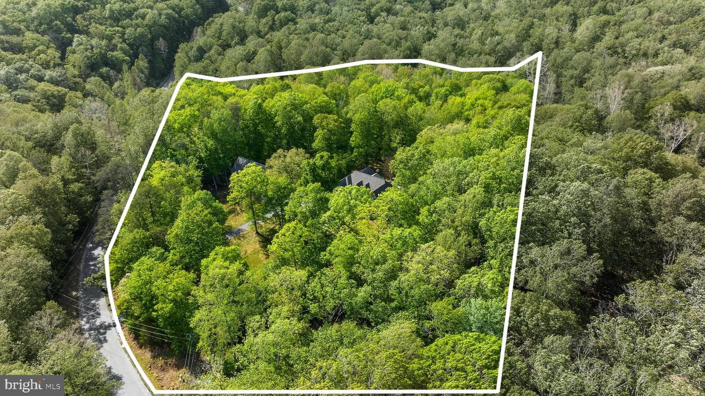 136 Holly Berry Road photo 74