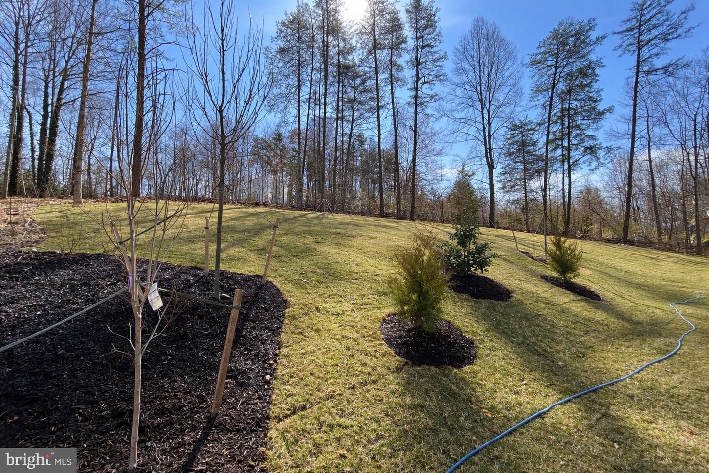 109 Longview Drive photo 3