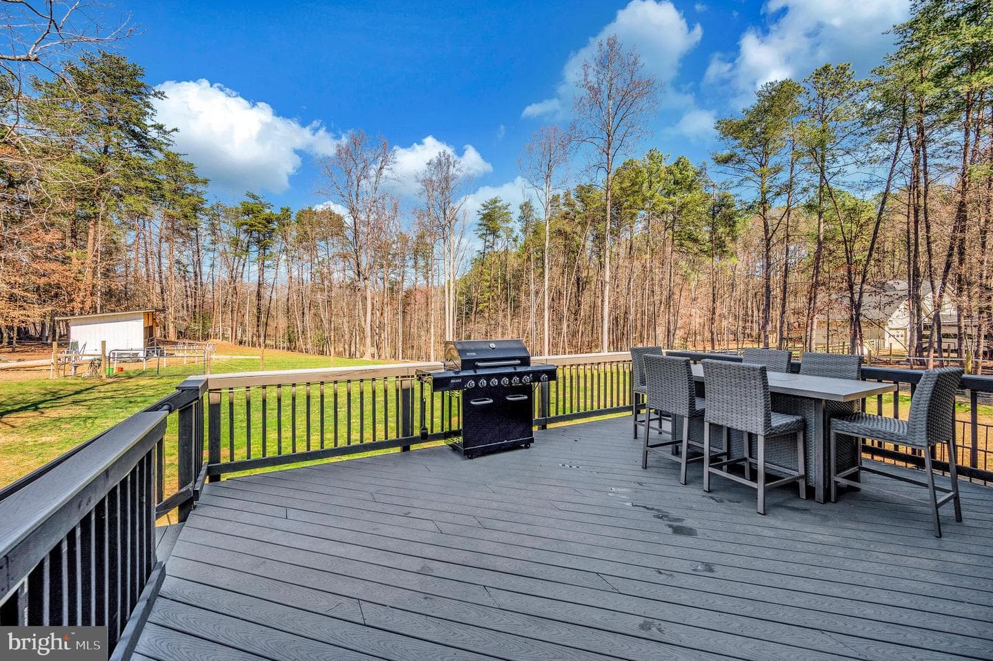 329 Mount Olive Road photo 41