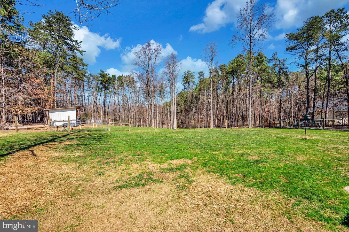 329 Mount Olive Road photo 57