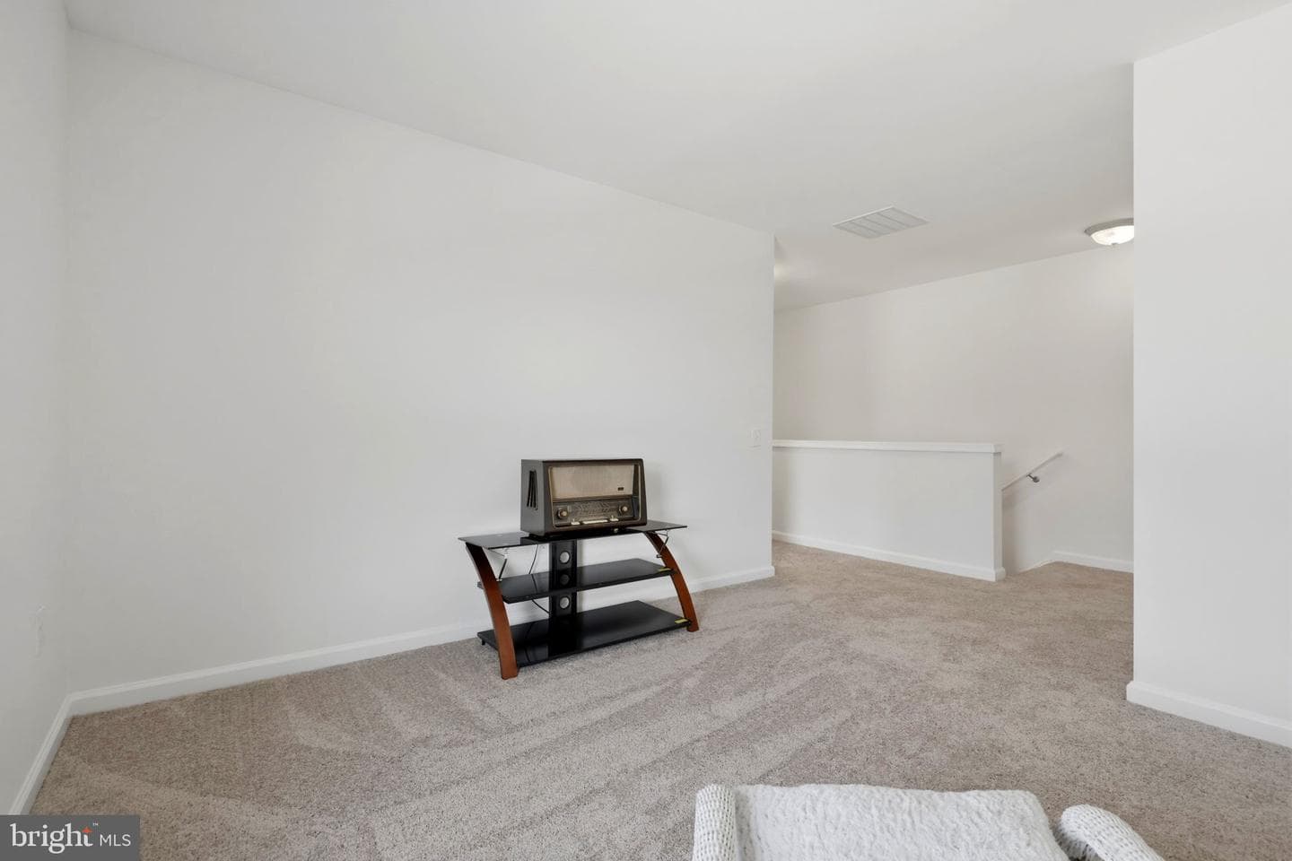 19 Hopkins Branch Way photo 19