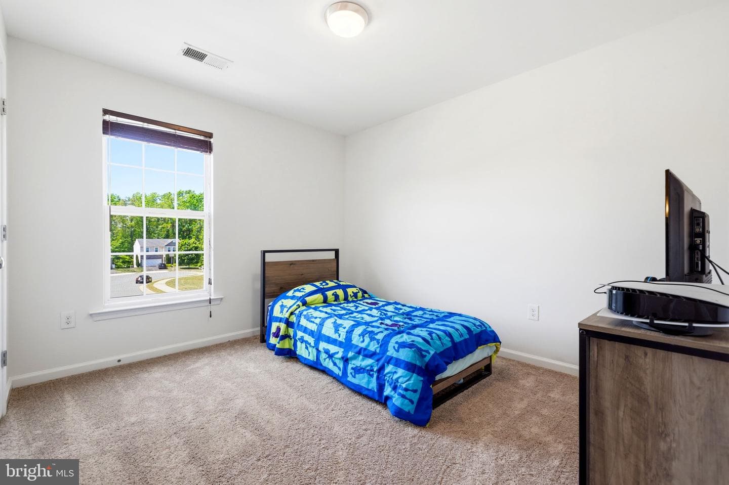 19 Hopkins Branch Way photo 32