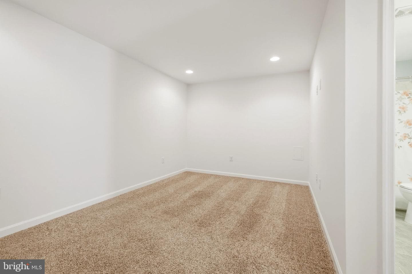 19 Hopkins Branch Way photo 41