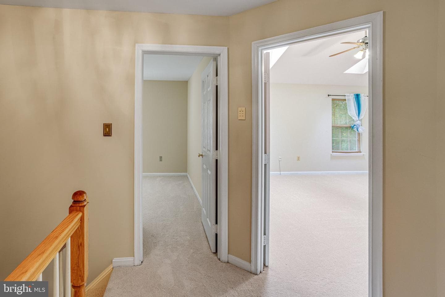 40 Catherine Lane photo 14