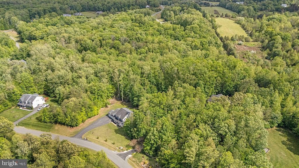75 Orion Way photo 98