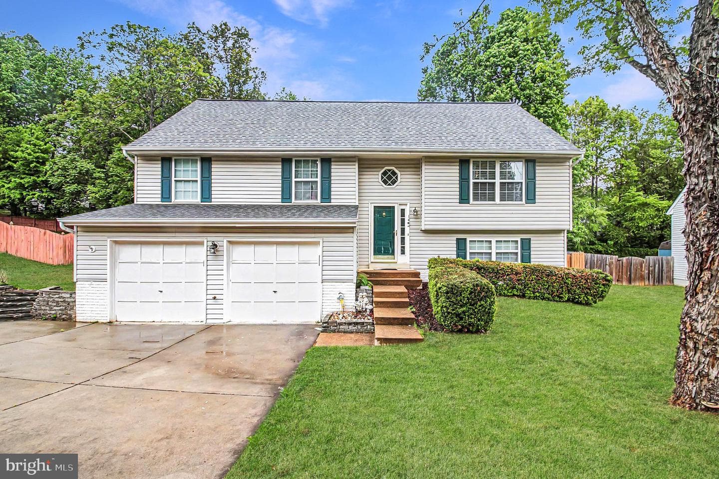 14 Myrtle Road photo 20