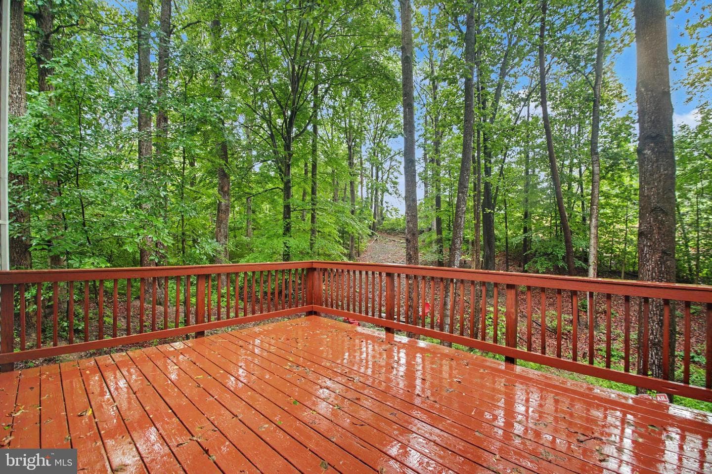217 Mast Cove photo 34