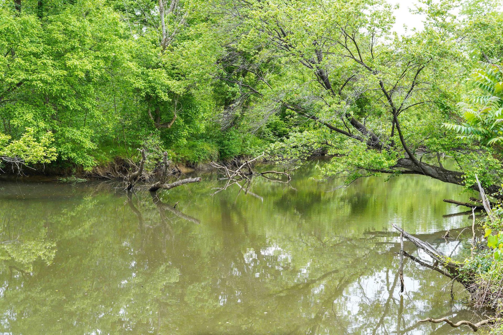 115 Nautical Cove photo 81