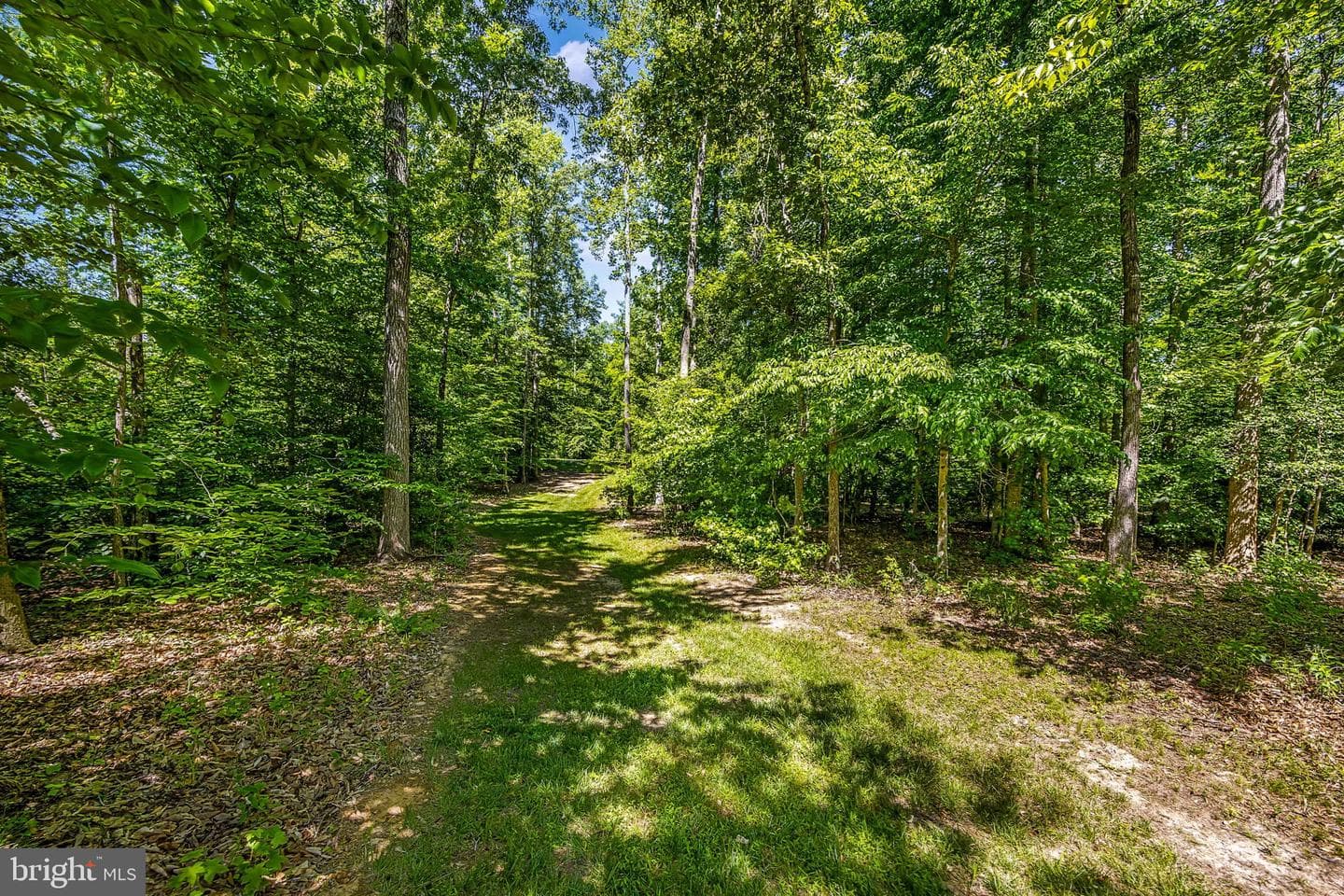 626 Long Meadow Drive photo 49