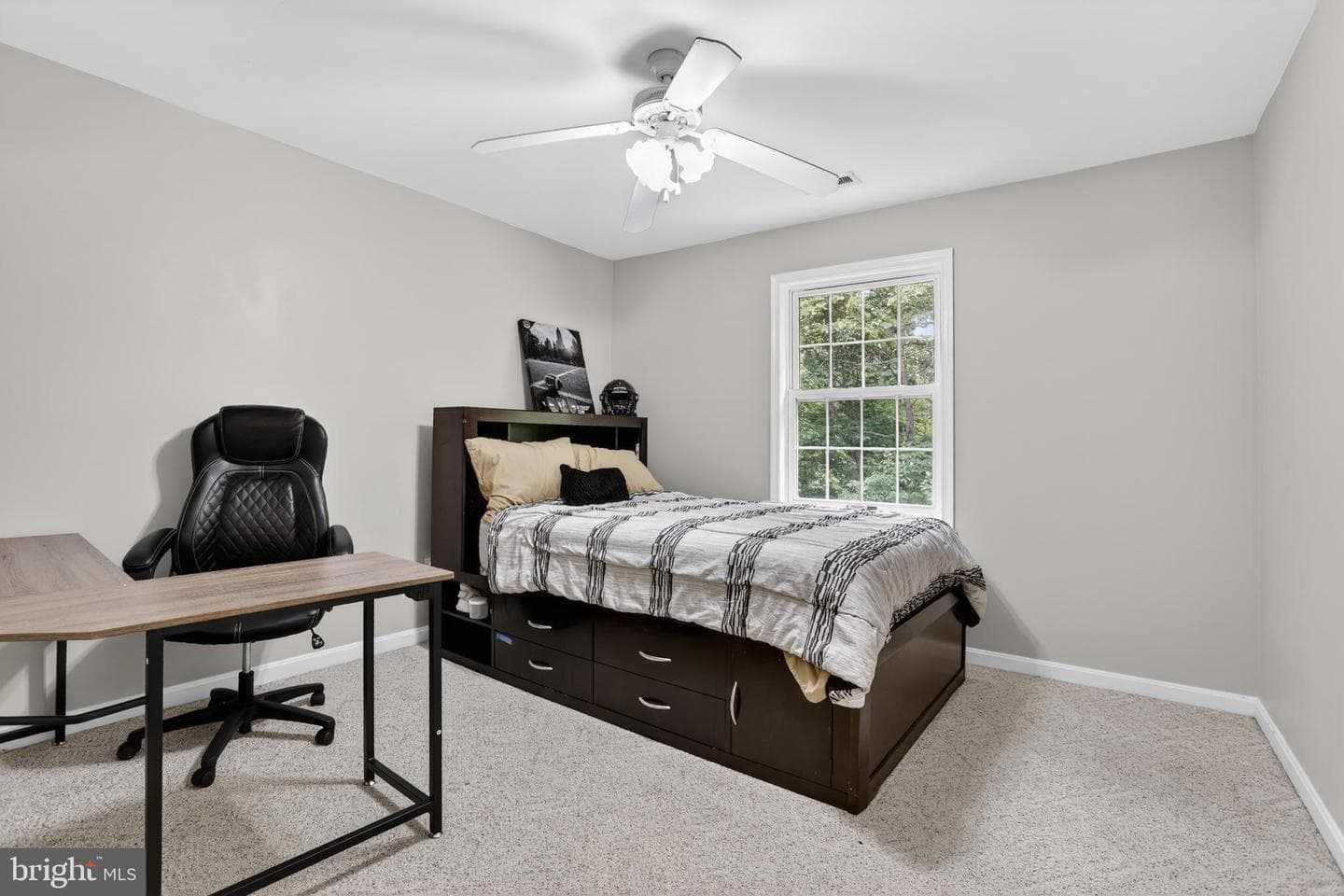 11 Holly Brooke Court photo 19