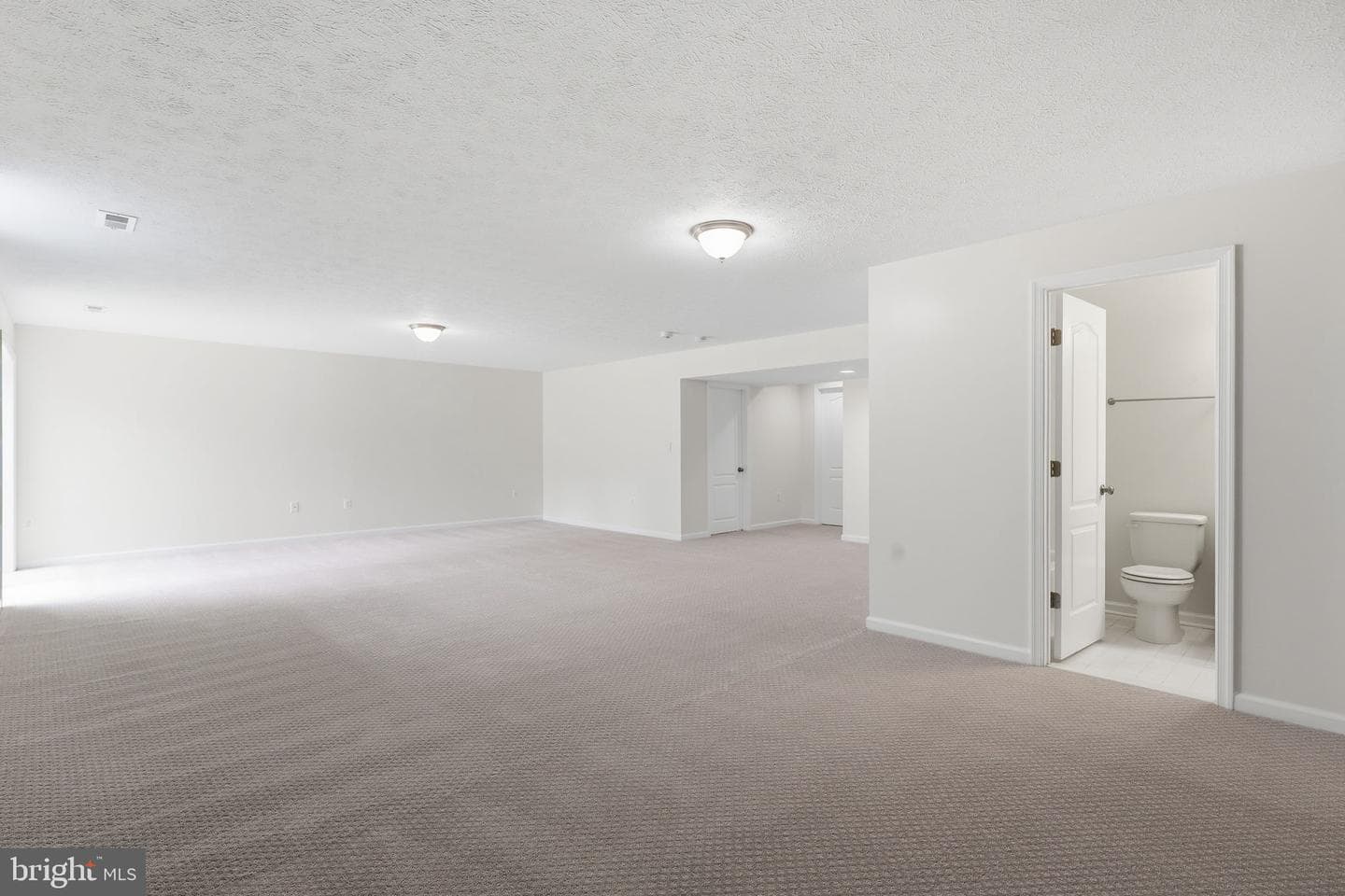 320 Timber Mill Lane photo 47