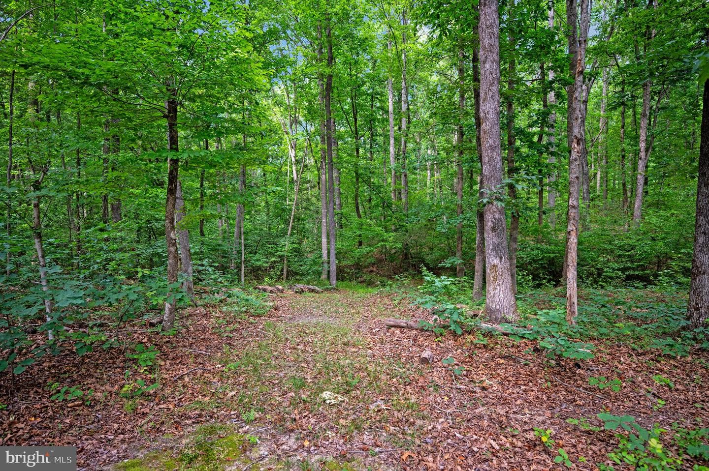 68 Bronco Lane photo 63