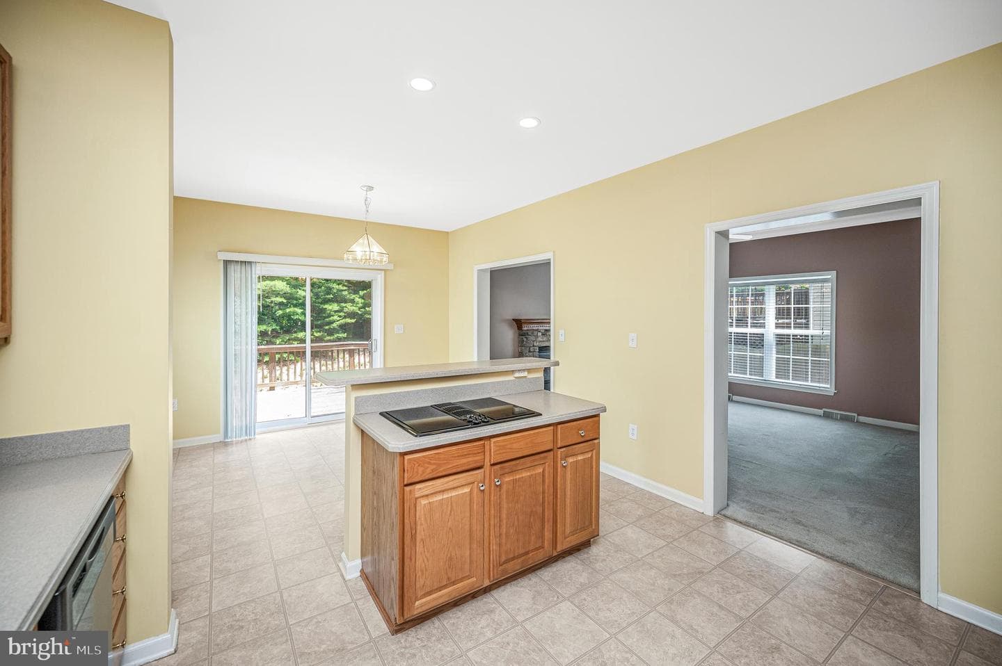 45 Denali Dr photo 16