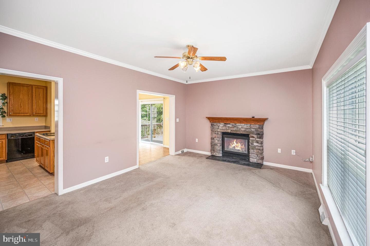 45 Denali Dr photo 21