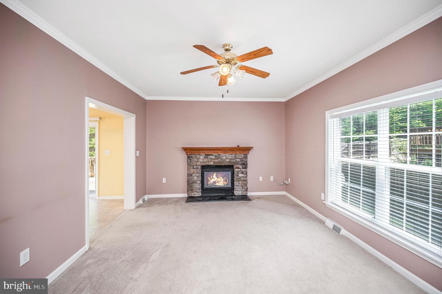 45 Denali Dr photo 22