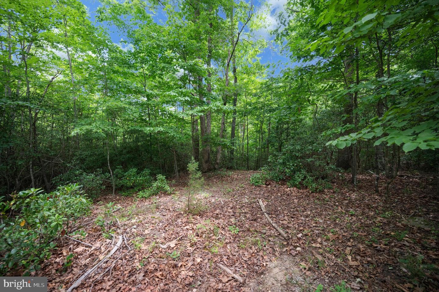 420 Pear Blossom Road photo 60