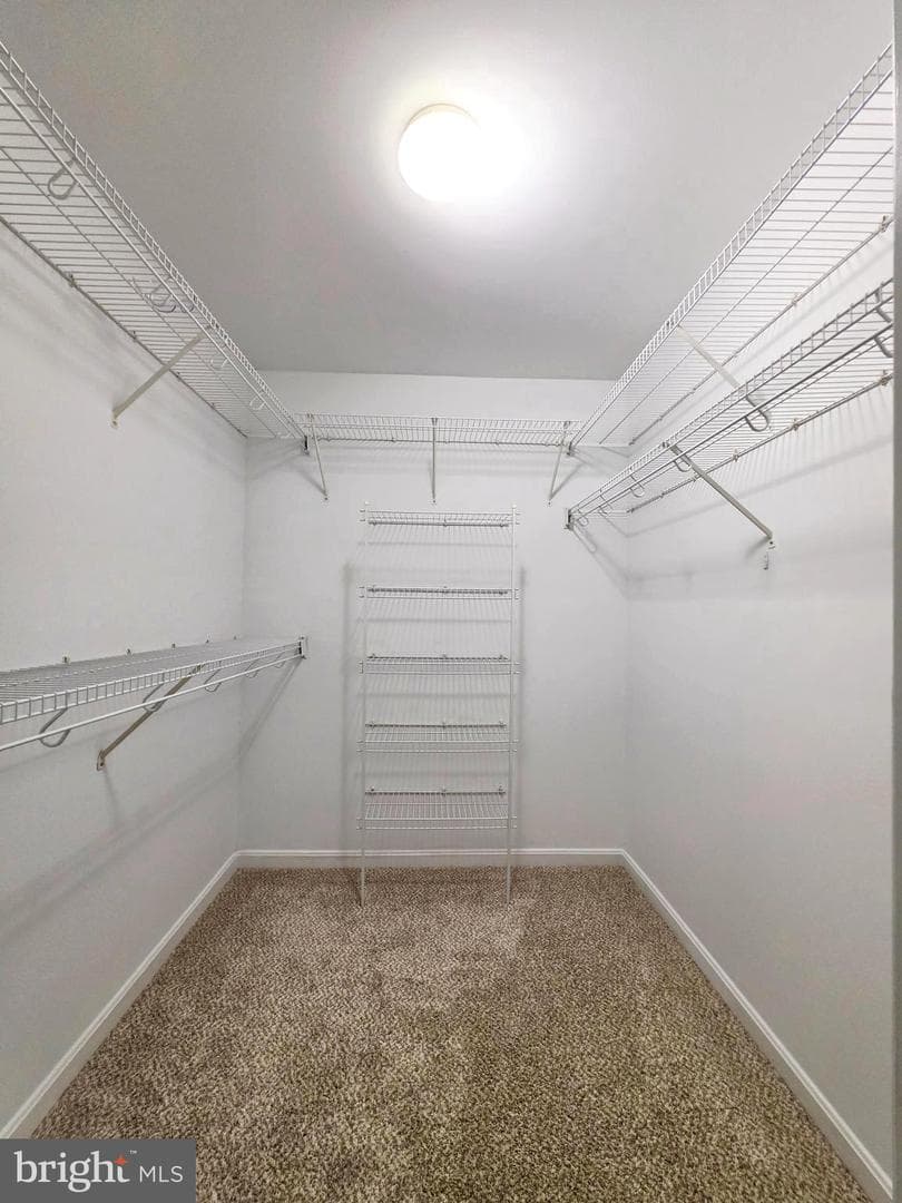 501 Garrison Woods Drive #203 photo 11