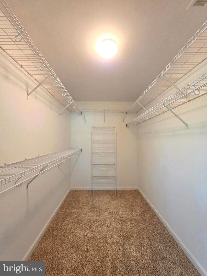 501 Garrison Woods Drive #203 photo 9