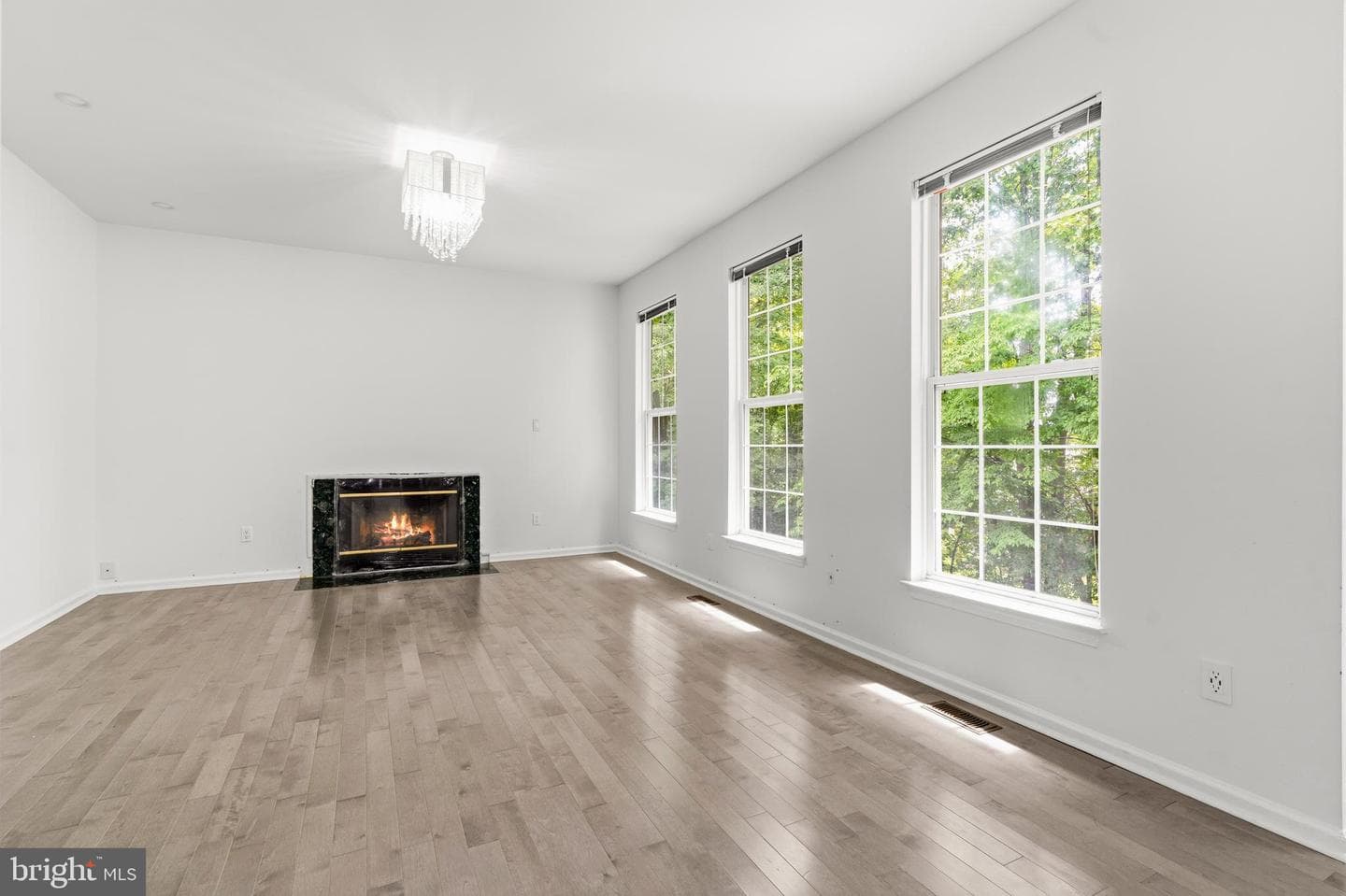 33 Jade Drive photo 21