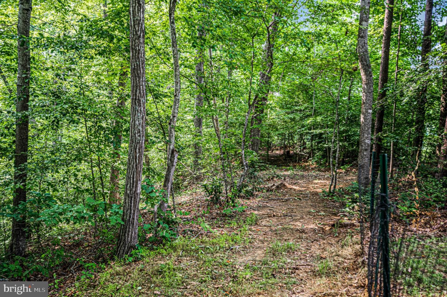 239 Toluca Road photo 22