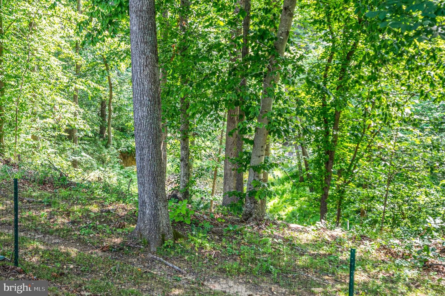 239 Toluca Road photo 69