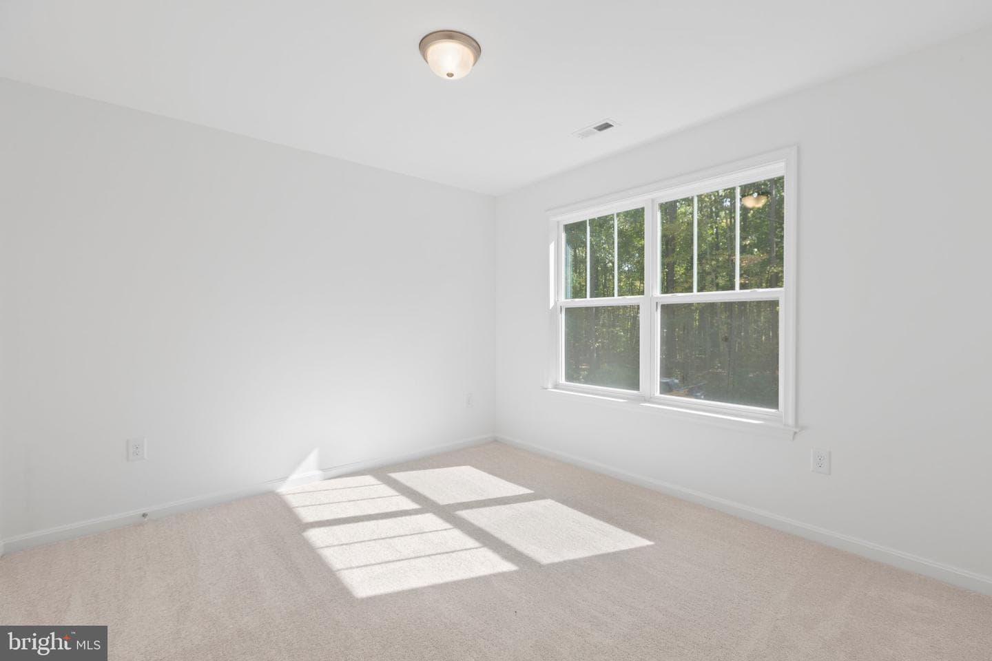 71 Laurel Lane photo 23